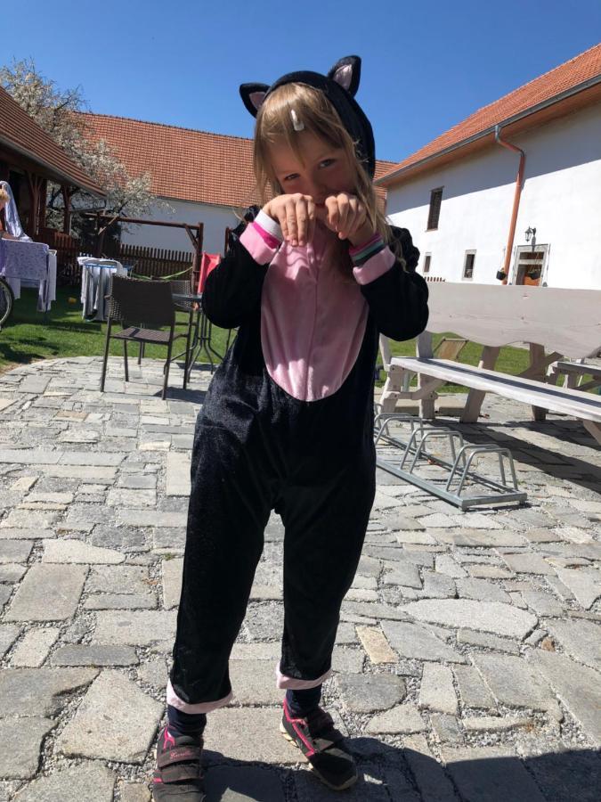 Penzion A Hospoda Na Statku Hluboká nad Vltavou Dış mekan fotoğraf