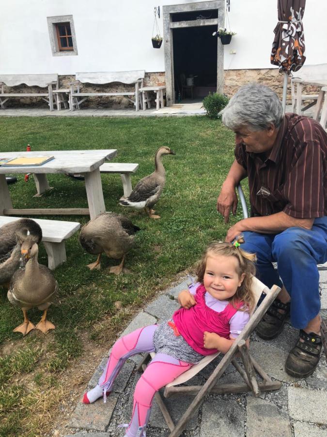 Penzion A Hospoda Na Statku Hluboká nad Vltavou Dış mekan fotoğraf